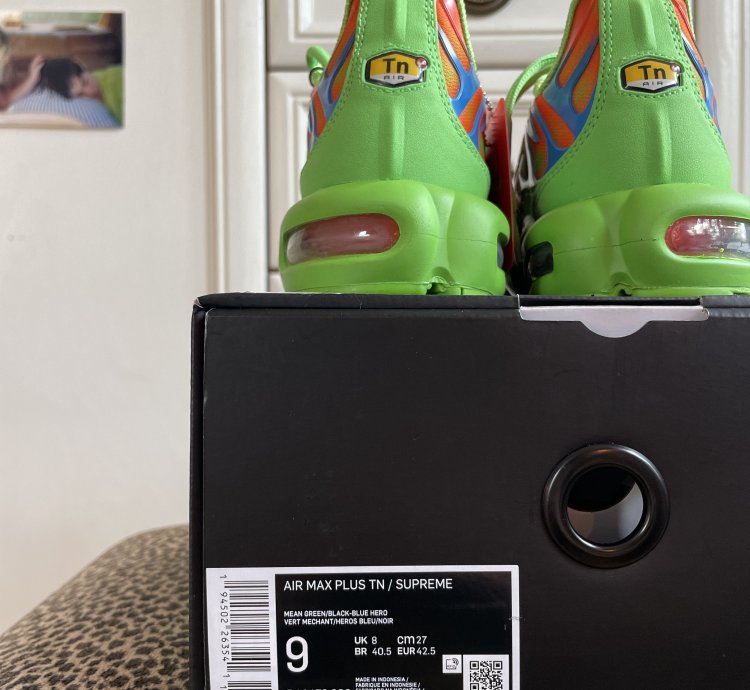 Nike Air Max Plus Tn 2020