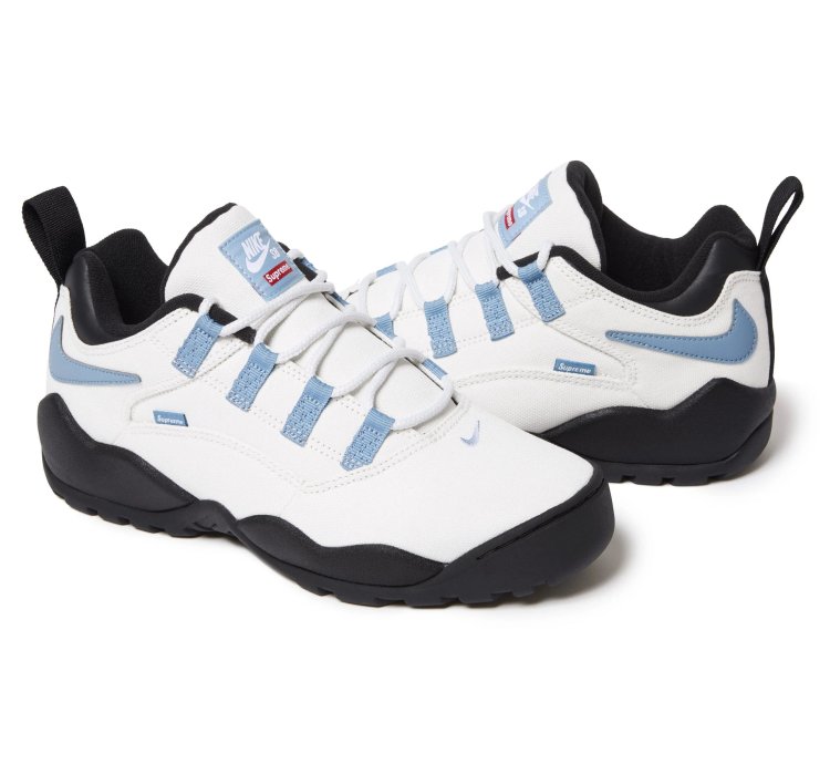 Nike Sb Darwin Low