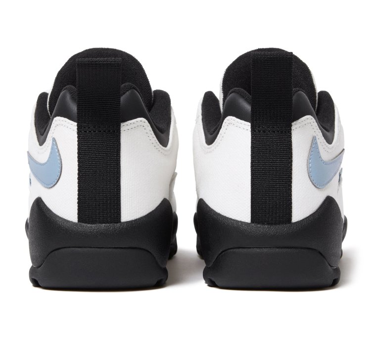 Nike Sb Darwin Low