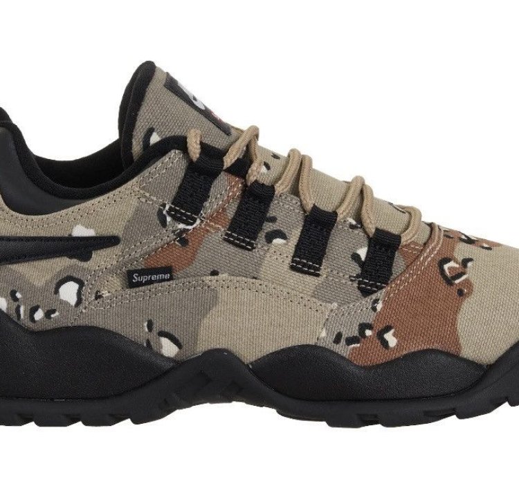 Nike Sb Darwin Low Supreme Desert Camo