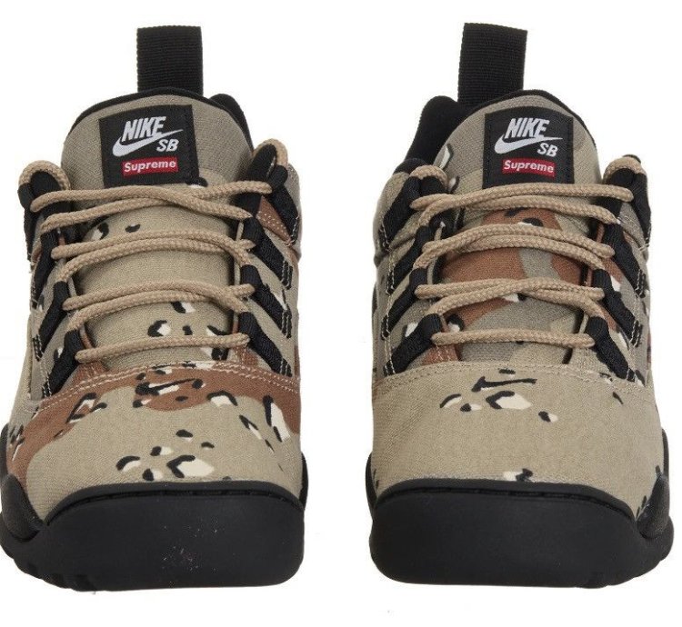 Nike Sb Darwin Low Supreme Desert Camo