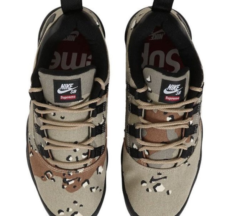 Nike Sb Darwin Low Supreme Desert Camo