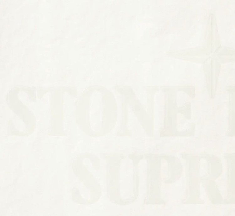 Mona Lisa Shell Jacket 2022 Supreme Stone Island