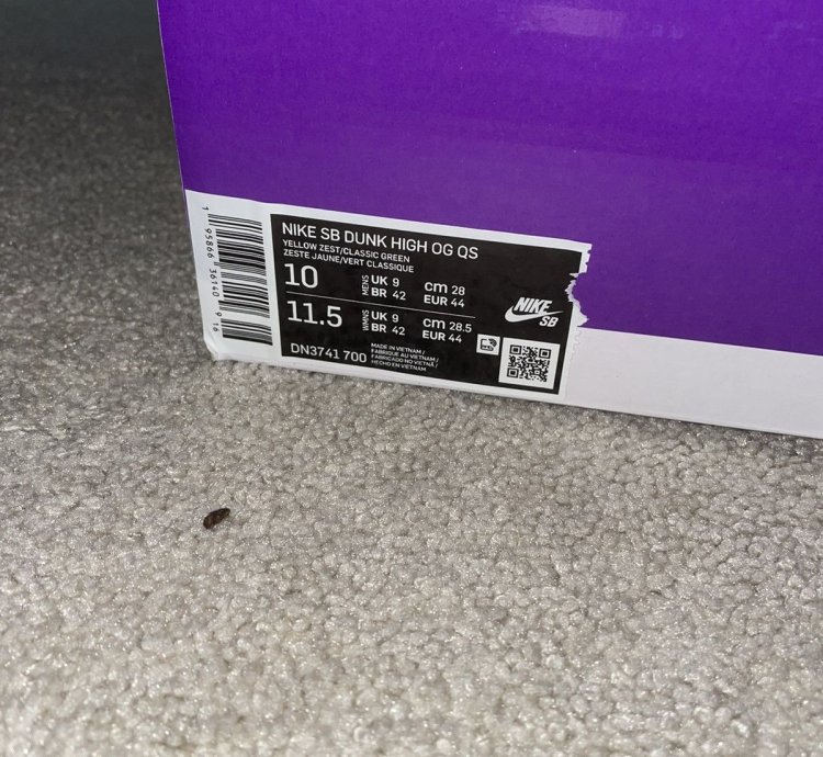 Nike Sb Dunk High Supreme By Any Means Brazil
