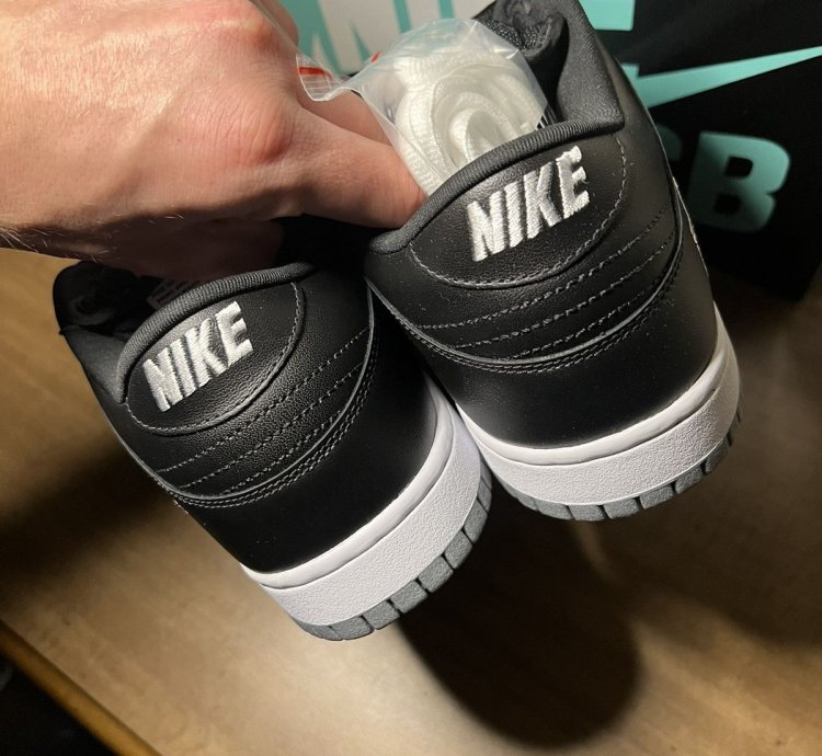 Nike Sb Dunk Low Silver Jewel