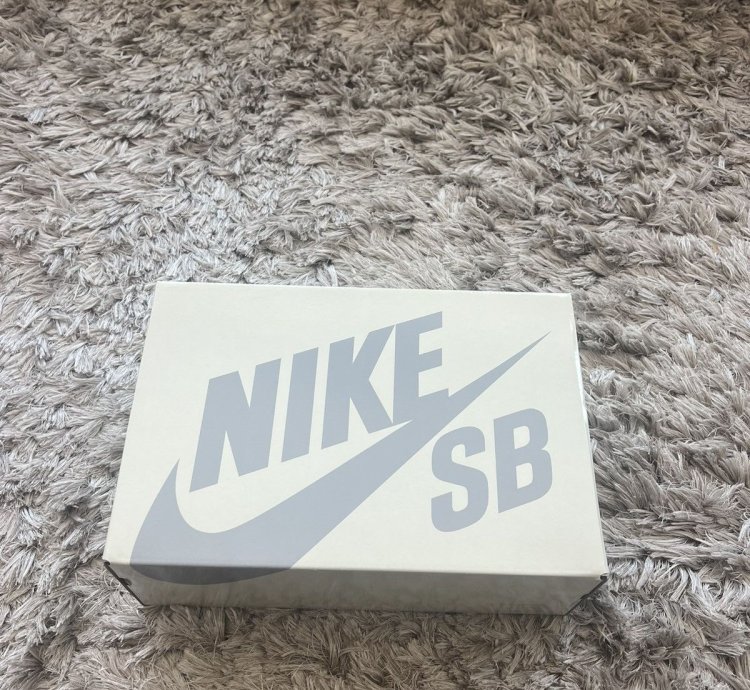 Nike Sb Rammellzee