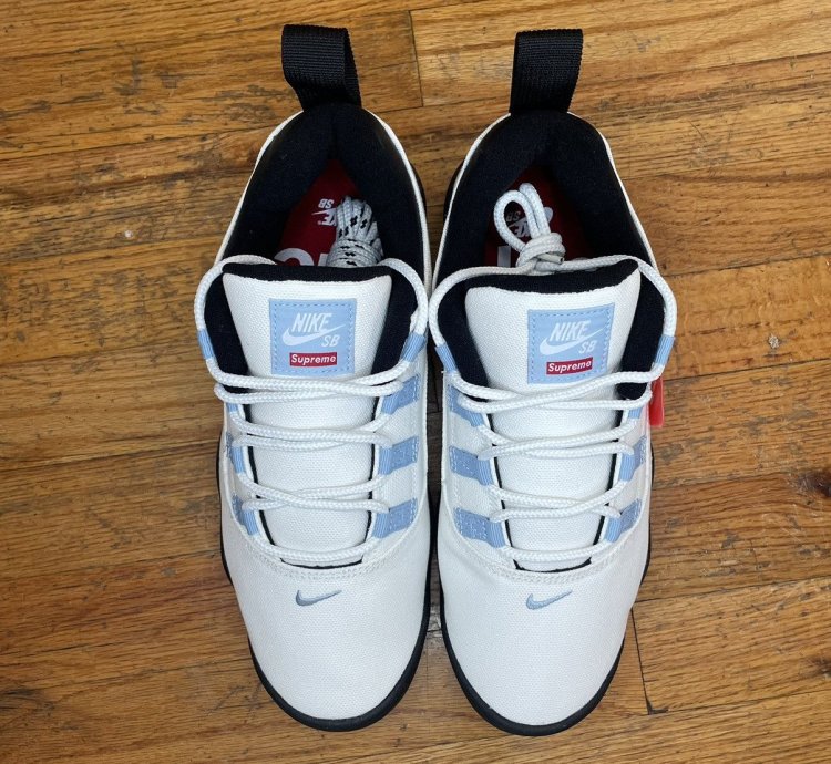 Nike Sb Supreme Darwin Low