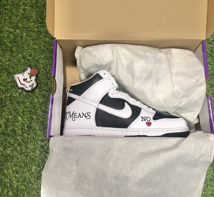 Nike Sb Supreme Dunk High By Any Means Necessary