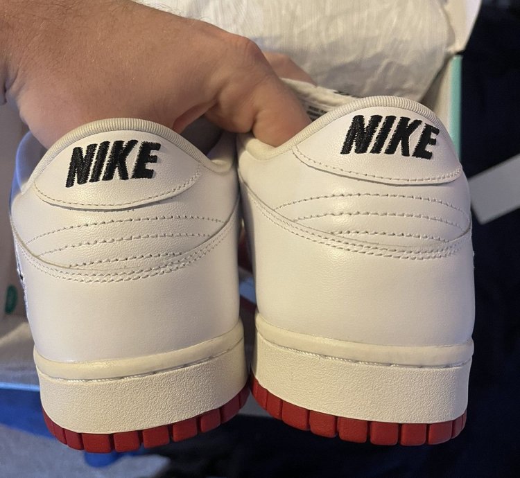 Nike Sb Supreme Dunk Low Jewel Swoosh