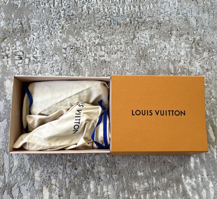 Louis Vuitton Monogram Trainer Sneakers