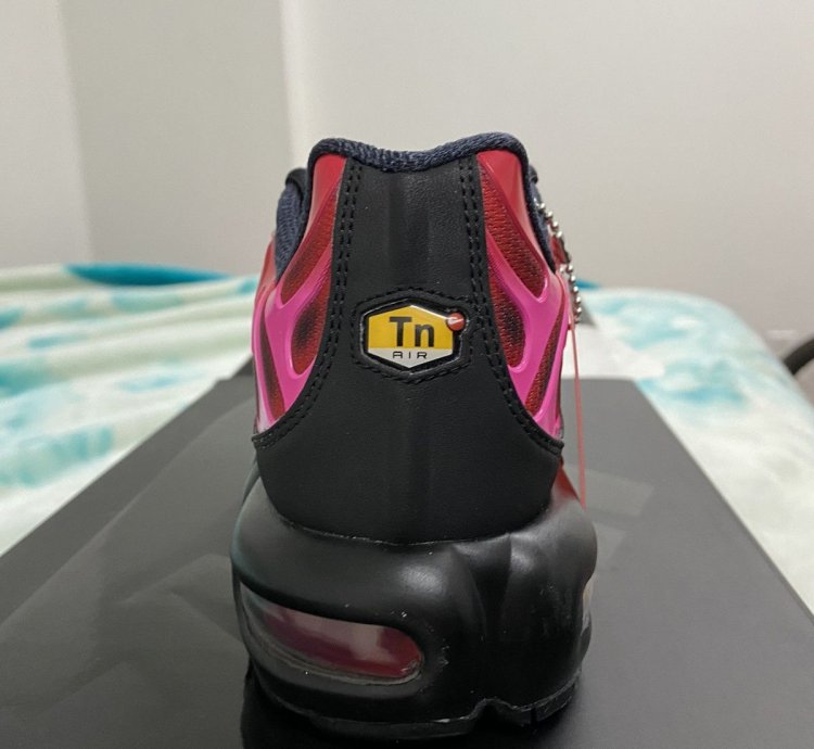 Nike Supreme Air Max Plus Tn
