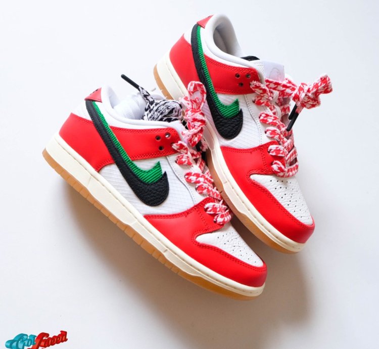 Nike Sb Dunk X Frame Skate habibi