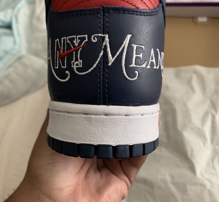 Nike Supreme Dunk High By Any Means