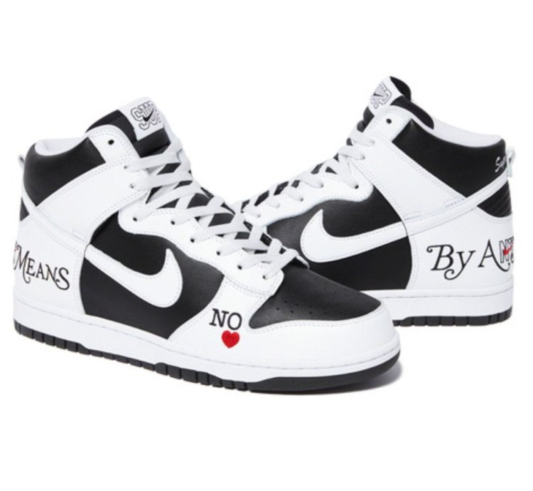 Nike Supreme Sb Dunk High By Any Means Necessary In Hand