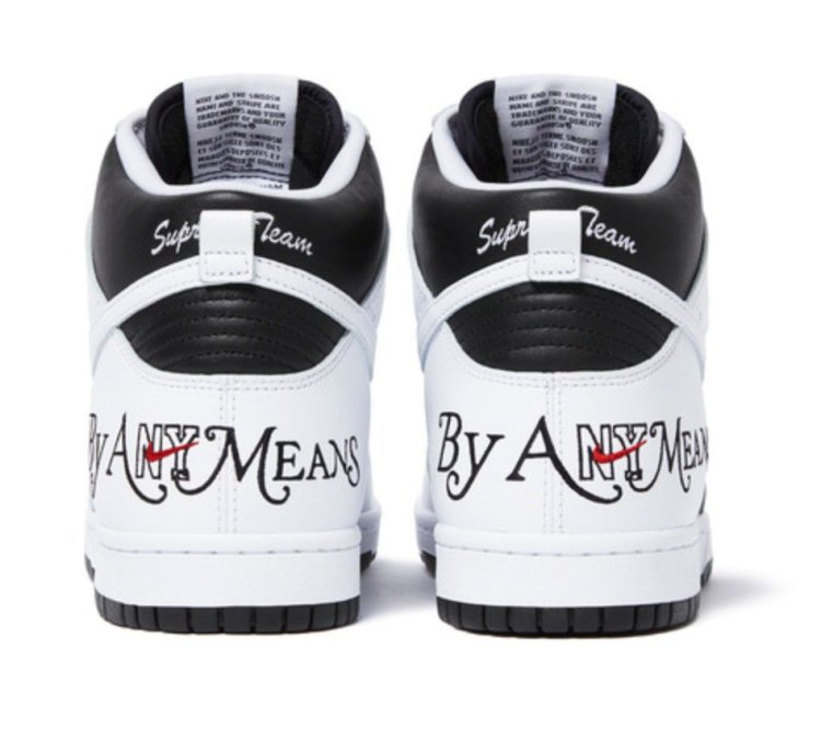 Nike Supreme Sb Dunk High By Any Means Necessary In Hand
