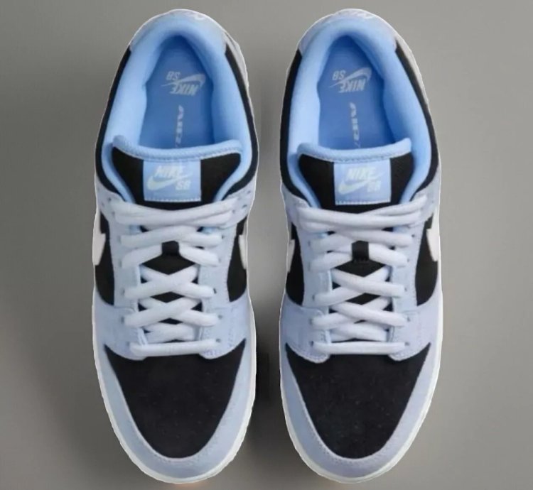 Nike Dunk Sb Low Pro Aluminum Hf3063-400
