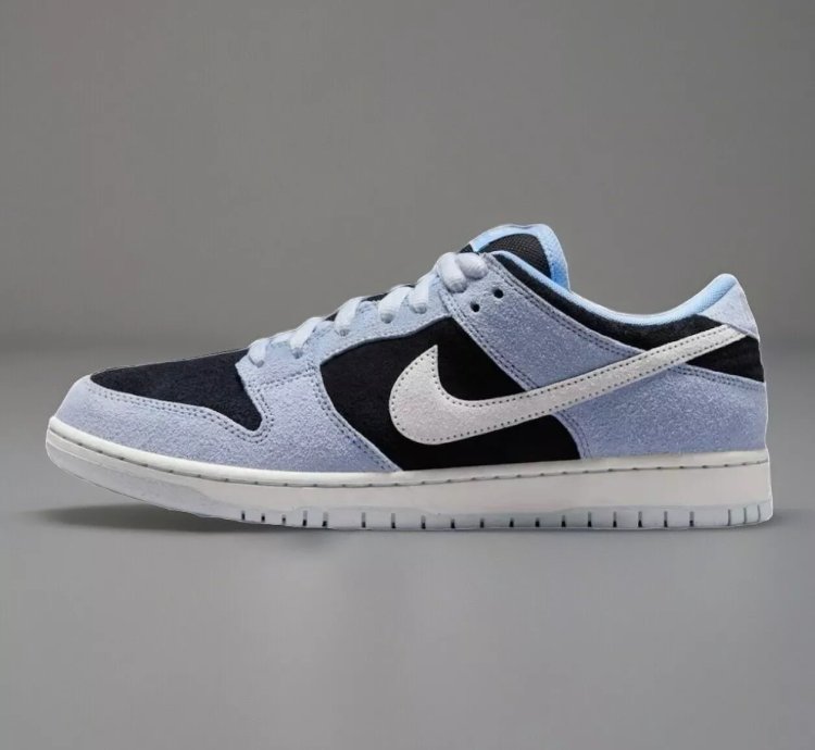 Nike Dunk Sb Low Pro Aluminum Hf3063-400