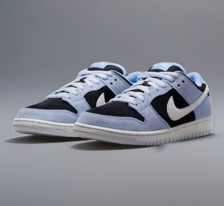 Nike Dunk Sb Low Pro Aluminum Hf3063-400