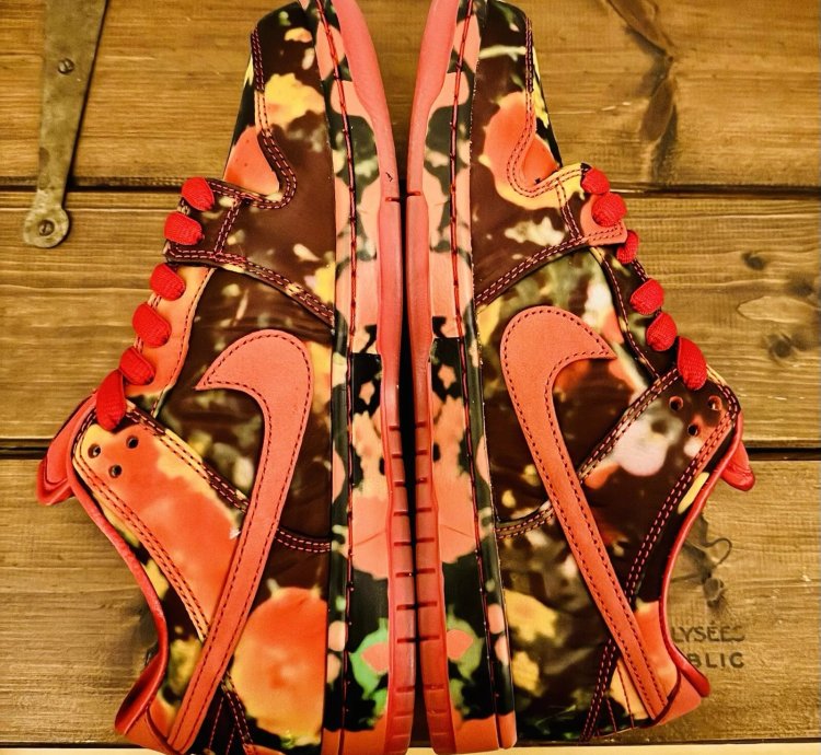 Nike Sb X The Wizard Of Oz Dunk Low Poppy Field Fz1291-600 Bnib