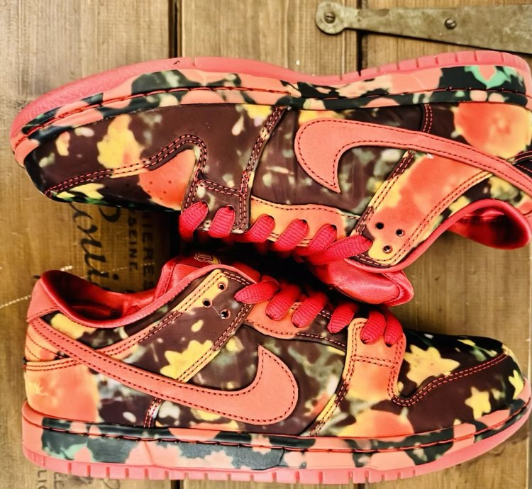 Nike Sb X The Wizard Of Oz Dunk Low Poppy Field Fz1291-600 Bnib