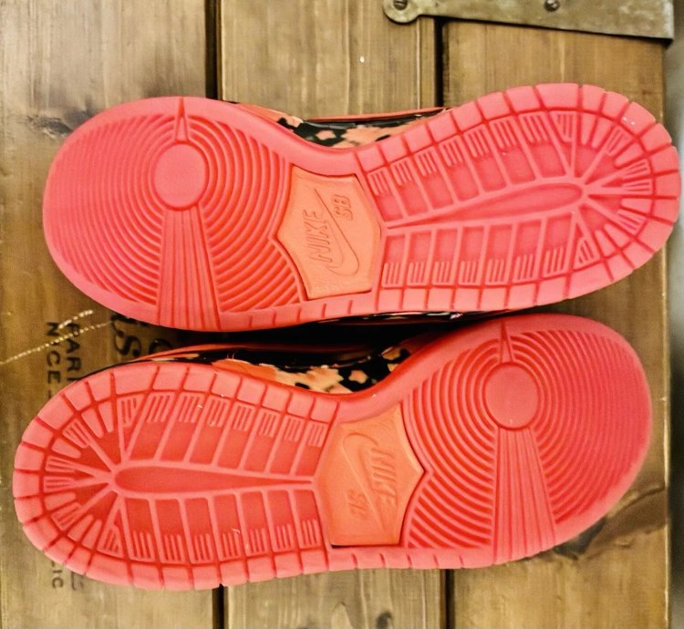 Nike Sb X The Wizard Of Oz Dunk Low Poppy Field Fz1291-600 Bnib