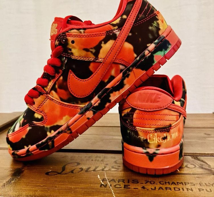 Nike Sb X The Wizard Of Oz Dunk Low Poppy Field Fz1291-600 Bnib