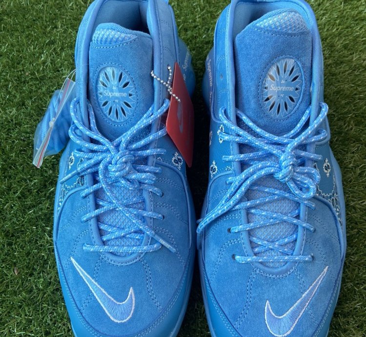 Nike Supreme University Blue Air Zoom Flight 95