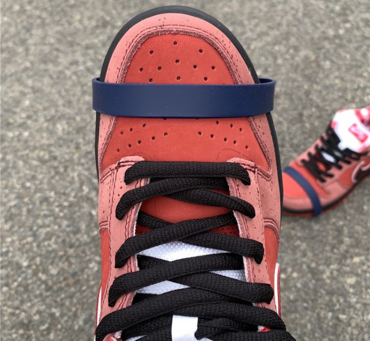Nike Sb Dunk - Red Lobster