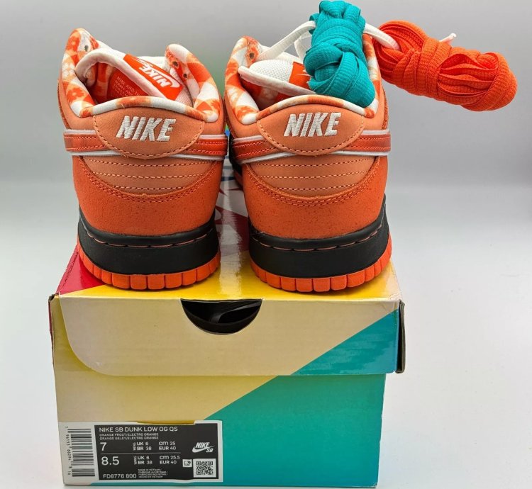 Nike Sb Dunk Low X Concepts orange Lobster Fd8776-800