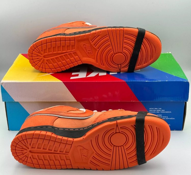 Nike Sb Dunk Low X Concepts orange Lobster Fd8776-800
