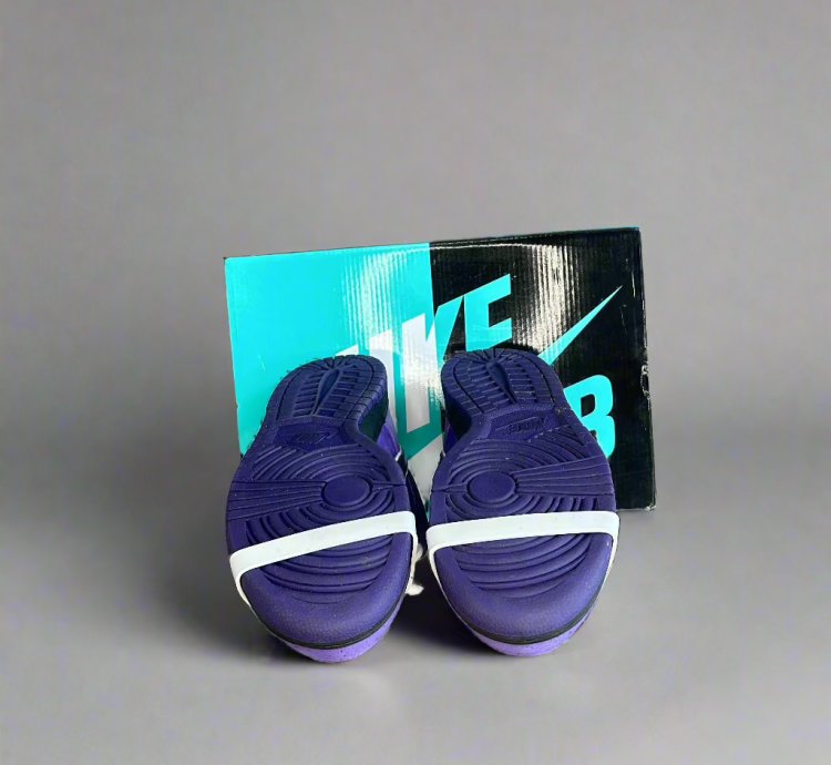 Nike Sb Dunk Purple Lobster - Bv1310-555