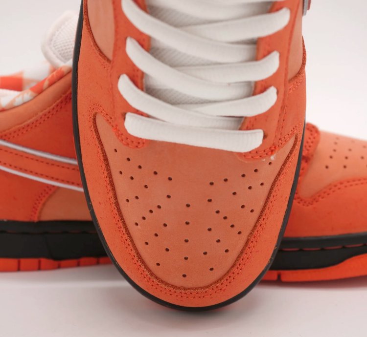 Nike Sb Dunk Orange Lobster