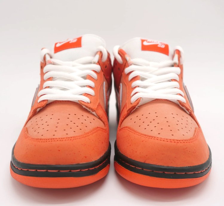 Nike Sb Dunk Orange Lobster