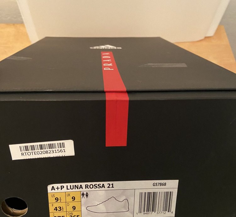Prada Adidas Luna Rossa