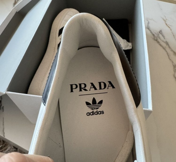 Prada Adidas Sneakers