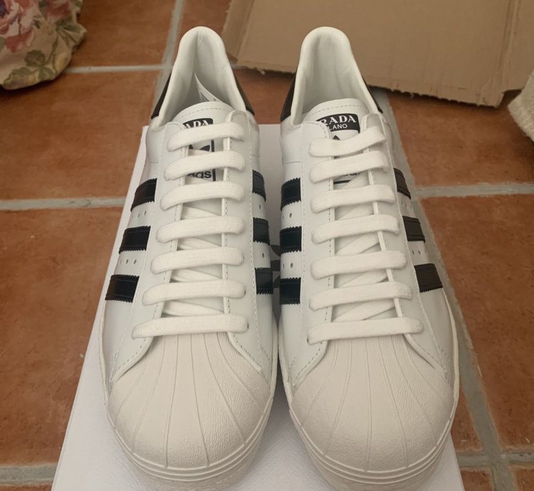 Prada Adidas Superstar