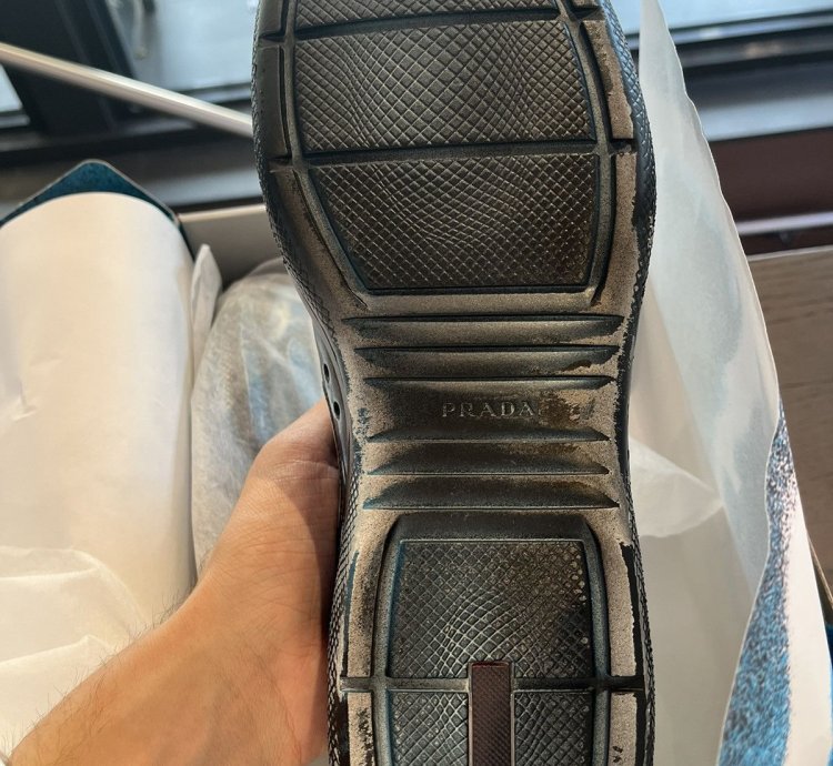 Prada America Cup Hirst Collab