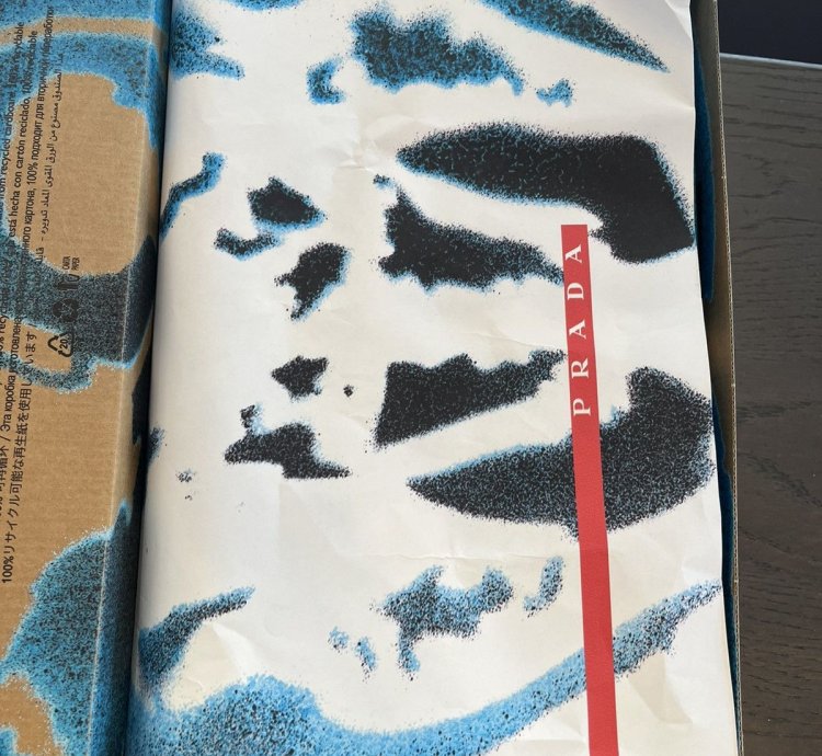 Prada America Cup Hirst Collab