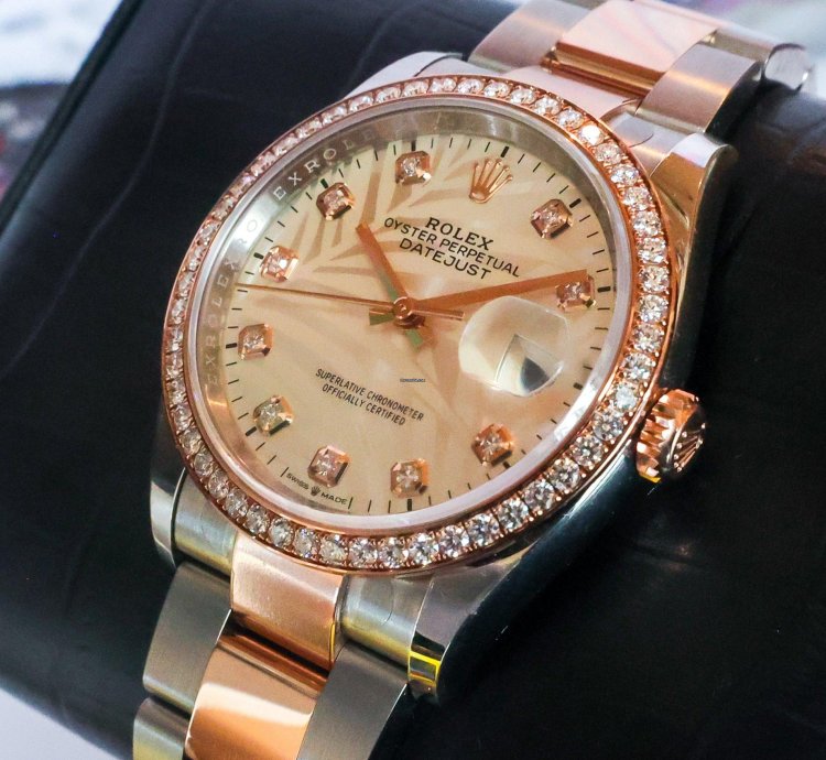 Rolex Datejust 36 Diamond Bezel Palm Motif 126281rbr 2023 Unworn 36mm 18k Rg Diamond Full Set
