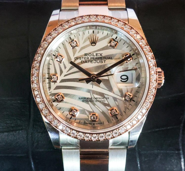 Rolex Datejust 36 Diamond Bezel Palm Motif 126281rbr 2023 Unworn 36mm 18k Rg Diamond Full Set