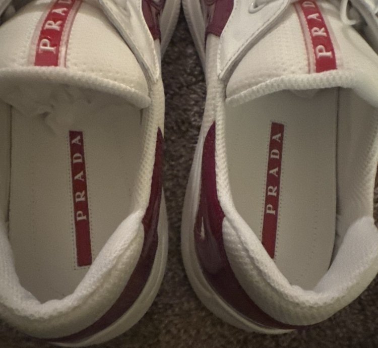 Prada America Cups 8uk 9us
