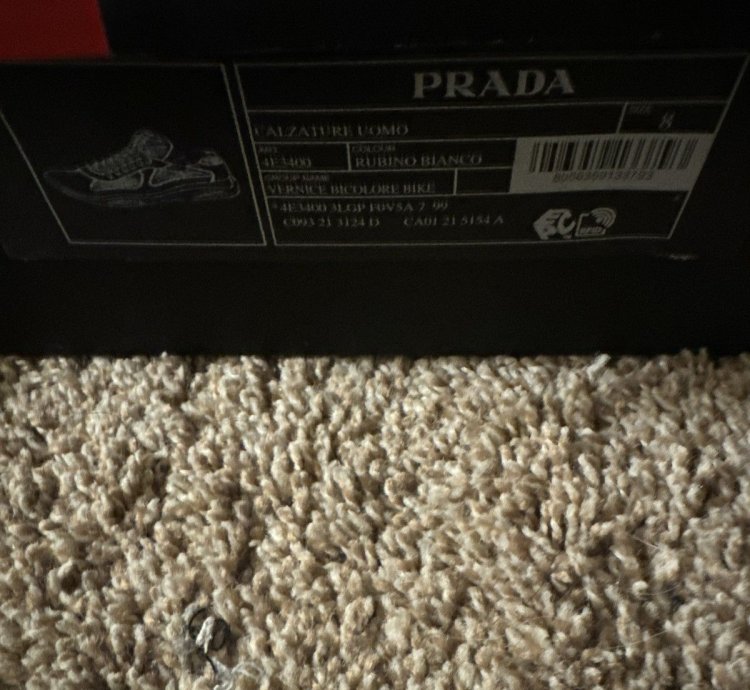 Prada America Cups 8uk 9us