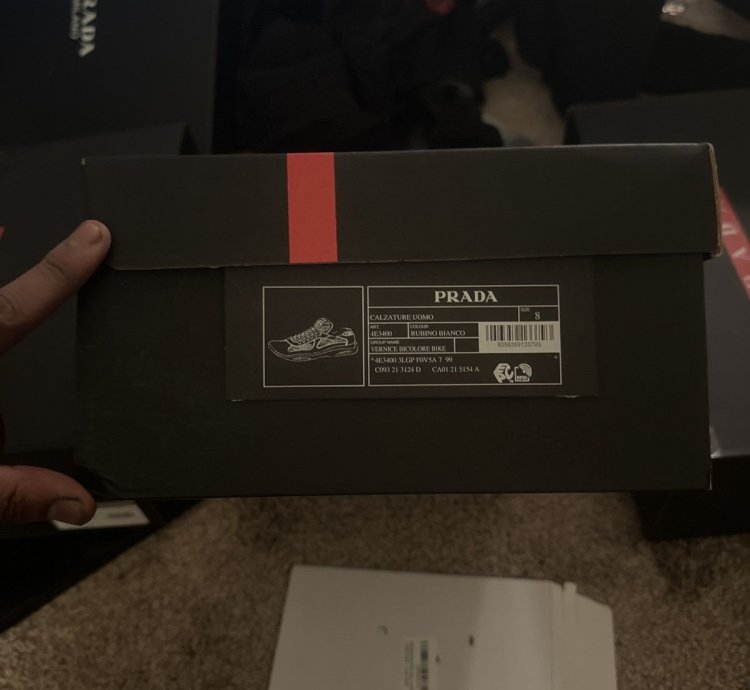 Prada America Cups 8uk 9us
