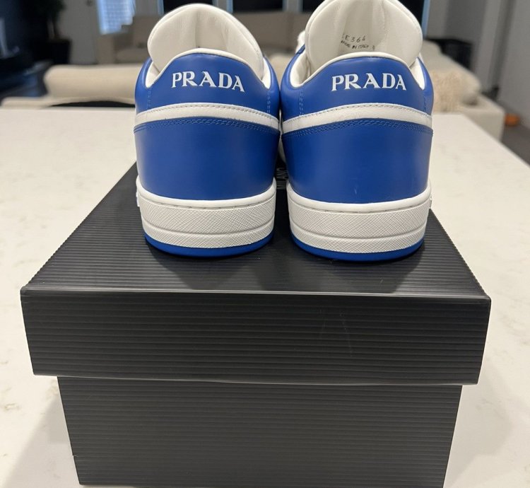 Prada Downtown Sneakers