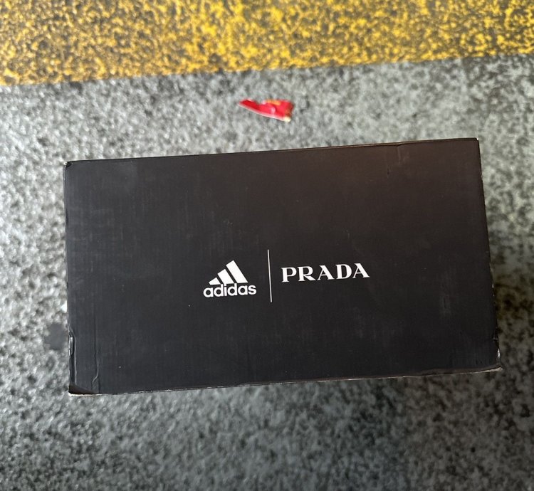 Prada Luna Rossa 21