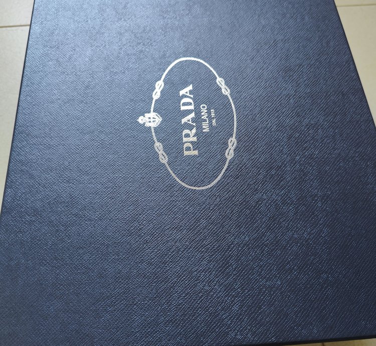 Prada Systeme Sneakers