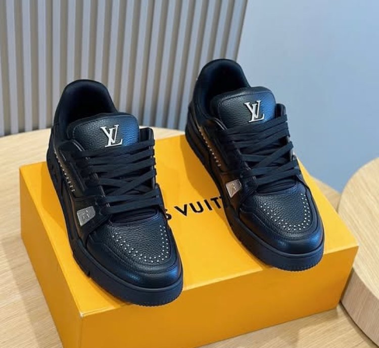 Lv Trainer Black Calf Leather