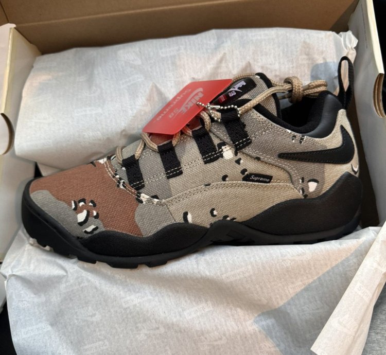 Rare New Supreme Darwin Nike Sb