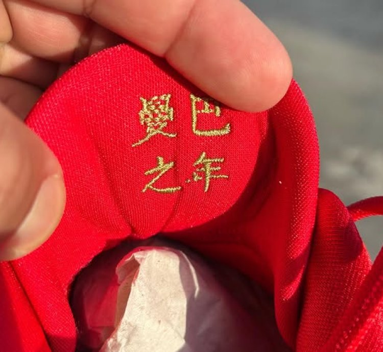 Nike Kobe 5 Protro Year Of The Mamba University Red
