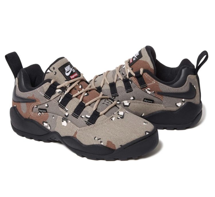 Send Offers Supreme Nike Sb Darwin Low Camo